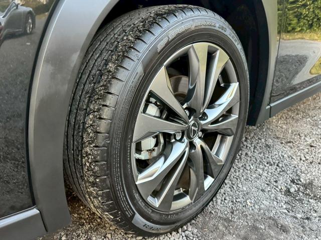 UX 250h Fスポーツ 衝突軽減/全周囲カメラ/レーダークルーズコントロール/コーナーセンサー/HUD/BSM/ハンドルヒーター/シートヒーター・エアコン/パワーシート/シートメモリ/ETC/Bluetooth/バックカメラ(10枚目)