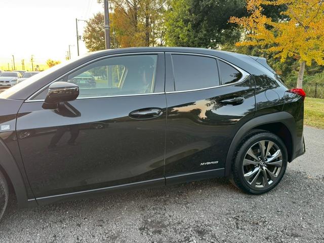 UX 250h Fスポーツ 衝突軽減/全周囲カメラ/レーダークルーズコントロール/コーナーセンサー/HUD/BSM/ハンドルヒーター/シートヒーター・エアコン/パワーシート/シートメモリ/ETC/Bluetooth/バックカメラ(13枚目)