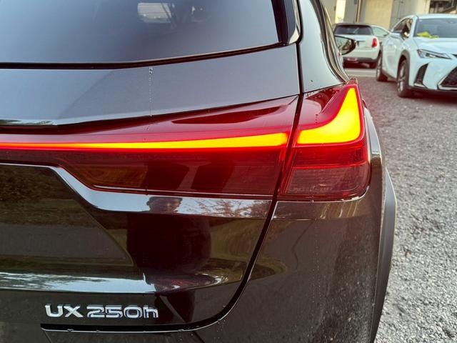 UX 250h Fスポーツ 衝突軽減/全周囲カメラ/レーダークルーズコントロール/コーナーセンサー/HUD/BSM/ハンドルヒーター/シートヒーター・エアコン/パワーシート/シートメモリ/ETC/Bluetooth/バックカメラ(24枚目)