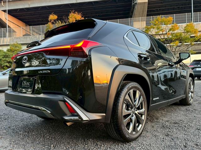 UX 250h Fスポーツ 衝突軽減/全周囲カメラ/レーダークルーズコントロール/コーナーセンサー/HUD/BSM/ハンドルヒーター/シートヒーター・エアコン/パワーシート/シートメモリ/ETC/Bluetooth/バックカメラ(27枚目)