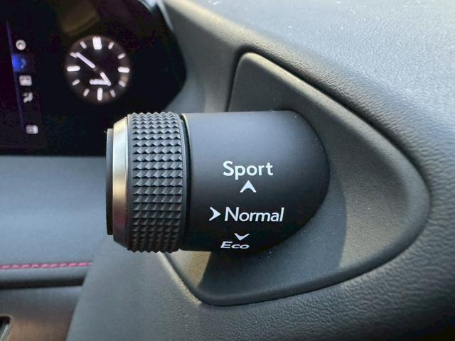 UX 250h Fスポーツ 衝突軽減/全周囲カメラ/レーダークルーズコントロール/コーナーセンサー/HUD/BSM/ハンドルヒーター/シートヒーター・エアコン/パワーシート/シートメモリ/ETC/Bluetooth/バックカメラ(49枚目)