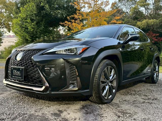 UX 250h Fスポーツ 衝突軽減/全周囲カメラ/レーダークルーズコントロール/コーナーセンサー/HUD/BSM/ハンドルヒーター/シートヒーター・エアコン/パワーシート/シートメモリ/ETC/Bluetooth/バックカメラ(9枚目)