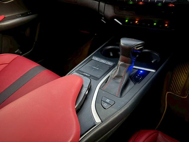 UX 250h Fスポーツ 衝突軽減/全周囲カメラ/レーダークルーズコントロール/コーナーセンサー/HUD/BSM/ハンドルヒーター/シートヒーター・エアコン/パワーシート/シートメモリ/ETC/Bluetooth/バックカメラ(46枚目)