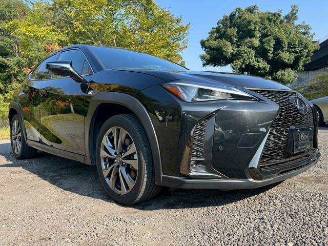 UX 250h Fスポーツ 衝突軽減/レーダークルーズコントロール/コーナーセンサー/ハンドルヒーター/シートヒーター/パワーシート/シートメモリ/ETC/Bluetooth/バックカメラ/プッシュスタート/電動格納ミラー(16枚目)