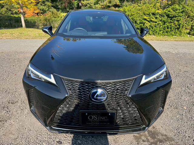 UX 250h Fスポーツ 衝突軽減/レーダークルーズコントロール/コーナーセンサー/ハンドルヒーター/シートヒーター/パワーシート/シートメモリ/ETC/Bluetooth/バックカメラ/プッシュスタート/電動格納ミラー(17枚目)