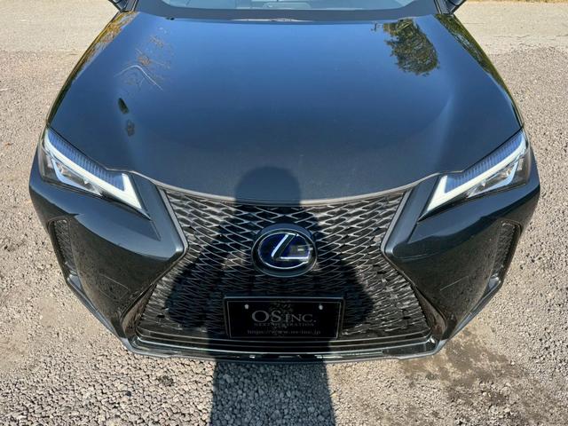 UX 250h Fスポーツ 衝突軽減/レーダークルーズコントロール/コーナーセンサー/ハンドルヒーター/シートヒーター/パワーシート/シートメモリ/ETC/Bluetooth/バックカメラ/プッシュスタート/電動格納ミラー(18枚目)