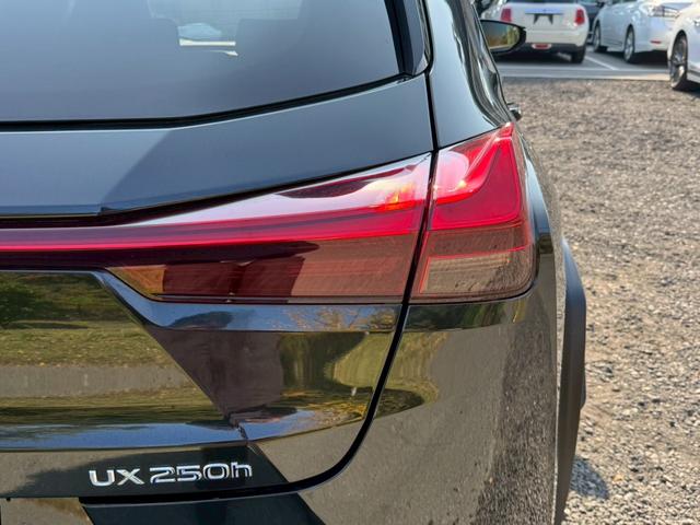 UX 250h Fスポーツ 衝突軽減/レーダークルーズコントロール/コーナーセンサー/ハンドルヒーター/シートヒーター/パワーシート/シートメモリ/ETC/Bluetooth/バックカメラ/プッシュスタート/電動格納ミラー(22枚目)