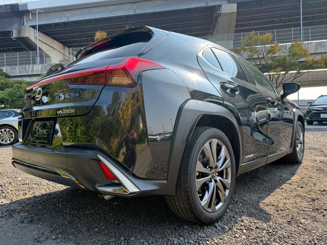 UX 250h Fスポーツ 衝突軽減/レーダークルーズコントロール/コーナーセンサー/ハンドルヒーター/シートヒーター/パワーシート/シートメモリ/ETC/Bluetooth/バックカメラ/プッシュスタート/電動格納ミラー(25枚目)