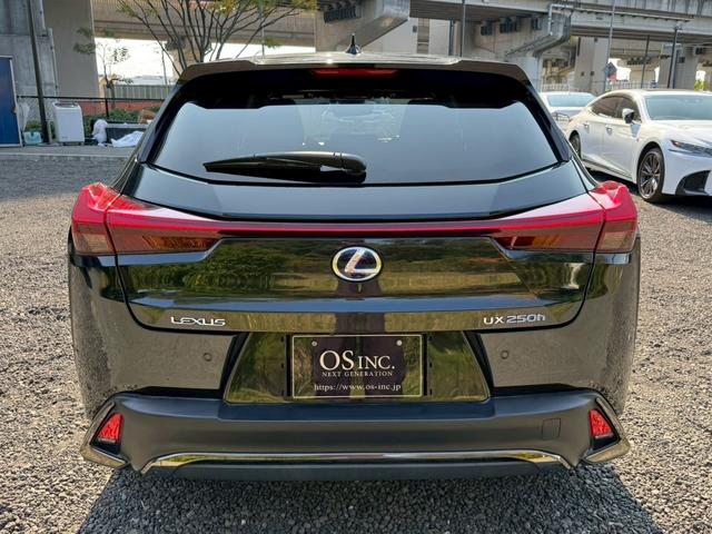 UX 250h Fスポーツ 衝突軽減/レーダークルーズコントロール/コーナーセンサー/ハンドルヒーター/シートヒーター/パワーシート/シートメモリ/ETC/Bluetooth/バックカメラ/プッシュスタート/電動格納ミラー(30枚目)