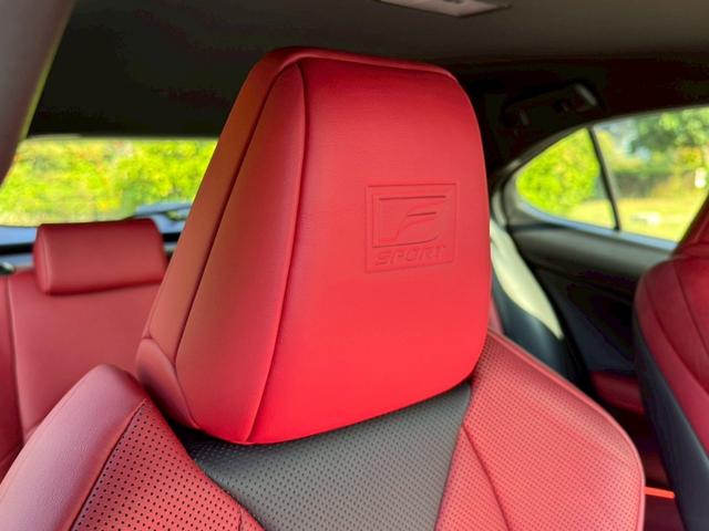 UX 250h Fスポーツ 衝突軽減/レーダークルーズコントロール/コーナーセンサー/ハンドルヒーター/シートヒーター/パワーシート/シートメモリ/ETC/Bluetooth/バックカメラ/プッシュスタート/電動格納ミラー(35枚目)