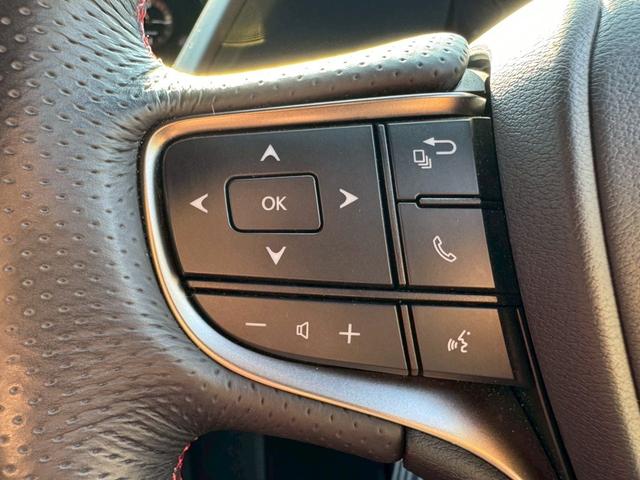 UX 250h Fスポーツ 衝突軽減/レーダークルーズコントロール/コーナーセンサー/ハンドルヒーター/シートヒーター/パワーシート/シートメモリ/ETC/Bluetooth/バックカメラ/プッシュスタート/電動格納ミラー(38枚目)