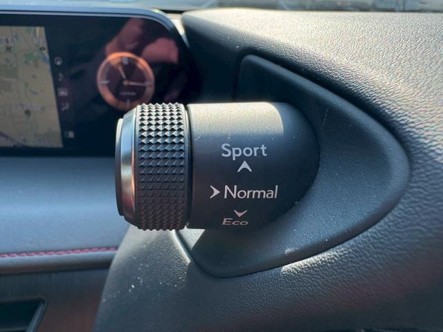 UX 250h Fスポーツ 衝突軽減/レーダークルーズコントロール/コーナーセンサー/ハンドルヒーター/シートヒーター/パワーシート/シートメモリ/ETC/Bluetooth/バックカメラ/プッシュスタート/電動格納ミラー(45枚目)