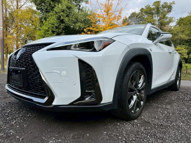 UX 250h Fスポーツ 衝突軽減/ワンオーナー/全周囲カメラ/レーダークルーズコントロール/コーナーセンサー/BSM/ハンドルヒーター/シートヒーター・エアコン/パワーシート/シートメモリ/ETC/Bluetooth(5枚目)