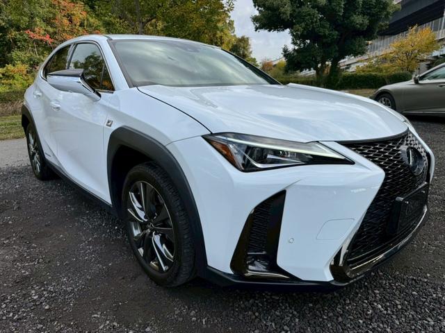 UX 250h Fスポーツ 衝突軽減/ワンオーナー/全周囲カメラ/レーダークルーズコントロール/コーナーセンサー/BSM/ハンドルヒーター/シートヒーター・エアコン/パワーシート/シートメモリ/ETC/Bluetooth(14枚目)