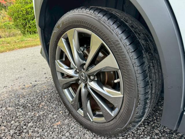 UX 250h Fスポーツ 衝突軽減/ワンオーナー/全周囲カメラ/レーダークルーズコントロール/コーナーセンサー/BSM/ハンドルヒーター/シートヒーター・エアコン/パワーシート/シートメモリ/ETC/Bluetooth(28枚目)