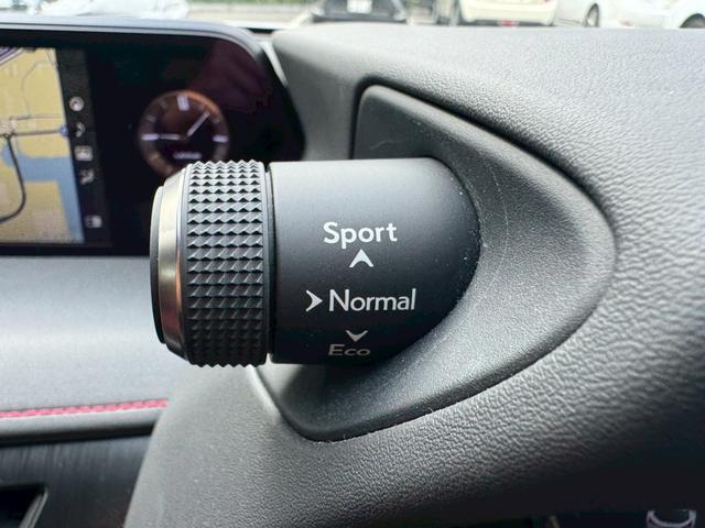 UX 250h Fスポーツ 衝突軽減/ワンオーナー/全周囲カメラ/レーダークルーズコントロール/コーナーセンサー/BSM/ハンドルヒーター/シートヒーター・エアコン/パワーシート/シートメモリ/ETC/Bluetooth(49枚目)