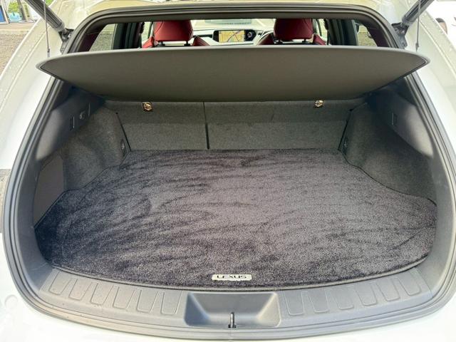 UX 250h Fスポーツ 衝突軽減/ワンオーナー/全周囲カメラ/レーダークルーズコントロール/コーナーセンサー/BSM/ハンドルヒーター/シートヒーター・エアコン/パワーシート/シートメモリ/ETC/Bluetooth(70枚目)