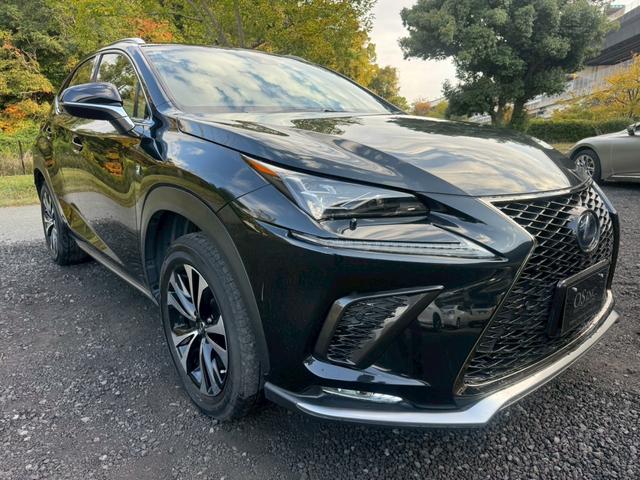ＮＸ ３００ｈ　Ｆスポーツ　後期／サンルーフ／レーダークルーズコントロール／コーナーセンサー／ハンドルヒーター／シートヒーター・エアコン／パワーシート／シートメモリ／ＥＴＣ／Ｂｌｕｅｔｏｏｔｈ／電動リアゲート／プッシュスタート（16枚目）