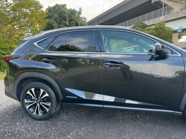ＮＸ ３００ｈ　Ｆスポーツ　後期／サンルーフ／レーダークルーズコントロール／コーナーセンサー／ハンドルヒーター／シートヒーター・エアコン／パワーシート／シートメモリ／ＥＴＣ／Ｂｌｕｅｔｏｏｔｈ／電動リアゲート／プッシュスタート（18枚目）