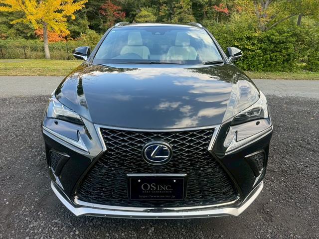ＮＸ ３００ｈ　Ｆスポーツ　後期／サンルーフ／レーダークルーズコントロール／コーナーセンサー／ハンドルヒーター／シートヒーター・エアコン／パワーシート／シートメモリ／ＥＴＣ／Ｂｌｕｅｔｏｏｔｈ／電動リアゲート／プッシュスタート（22枚目）