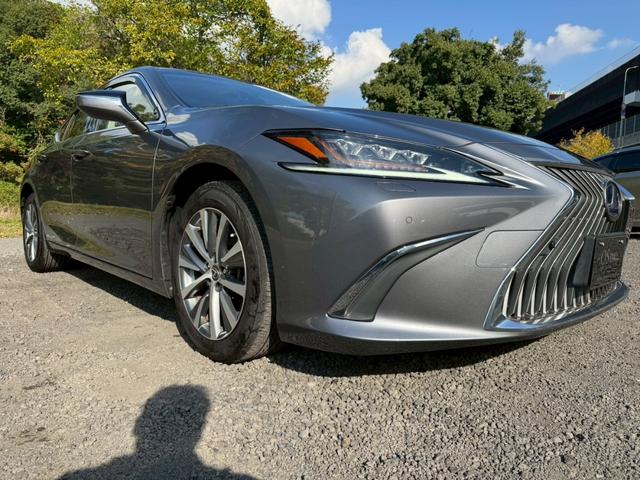 ＥＳ ３００ｈ　サンルーフ／衝突軽減／レーダークルーズコントロール／コーナーセンサー／ハンドルヒーター／シートヒーター・エアコン／ＢＳＭ／パワーシート／シートメモリ／ＥＴＣ／Ｂｌｕｅｔｏｏｔｈ／プッシュスタート（14枚目）