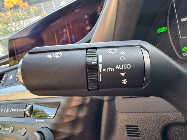 ＥＳ ３００ｈ　サンルーフ／衝突軽減／レーダークルーズコントロール／コーナーセンサー／ハンドルヒーター／シートヒーター・エアコン／ＢＳＭ／パワーシート／シートメモリ／ＥＴＣ／Ｂｌｕｅｔｏｏｔｈ／プッシュスタート（44枚目）