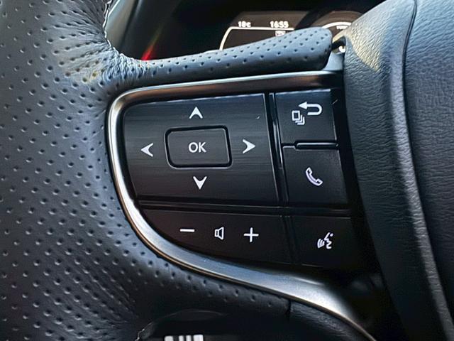 ＥＳ ３００ｈ　Ｆスポーツ　サンルーフ／衝突軽減／レーダークルーズコントロール／コーナーセンサー／ハンドルヒーター／シートヒーター・エアコン／パワーシート／シートメモリ／ＥＴＣ／Ｂｌｕｅｔｏｏｔｈ／バックカメラ／電動リアゲート（39枚目）