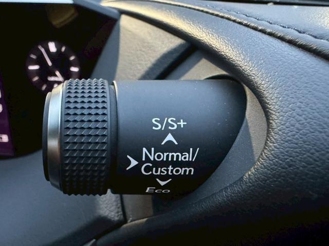 ＥＳ ３００ｈ　Ｆスポーツ　サンルーフ／衝突軽減／レーダークルーズコントロール／コーナーセンサー／ハンドルヒーター／シートヒーター・エアコン／パワーシート／シートメモリ／ＥＴＣ／Ｂｌｕｅｔｏｏｔｈ／バックカメラ／電動リアゲート（46枚目）