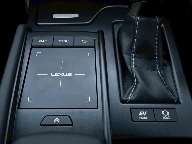 ＥＳ ３００ｈ　Ｆスポーツ　サンルーフ／衝突軽減／レーダークルーズコントロール／コーナーセンサー／ハンドルヒーター／シートヒーター・エアコン／パワーシート／シートメモリ／ＥＴＣ／Ｂｌｕｅｔｏｏｔｈ／バックカメラ／電動リアゲート（53枚目）