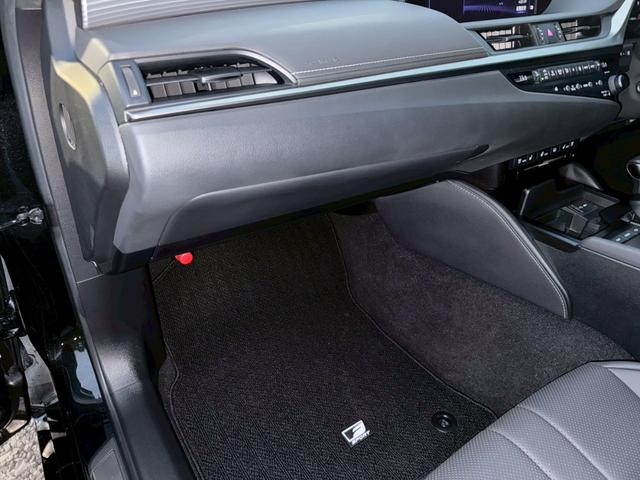 ＥＳ ３００ｈ　Ｆスポーツ　サンルーフ／衝突軽減／レーダークルーズコントロール／コーナーセンサー／ハンドルヒーター／シートヒーター・エアコン／パワーシート／シートメモリ／ＥＴＣ／Ｂｌｕｅｔｏｏｔｈ／バックカメラ／電動リアゲート（78枚目）