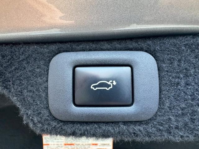 ＬＳ ５００ｈ　Ｉｐｋｇ　全周囲カメラ／衝突軽減／レーダークルーズコントロール／コーナーセンサー／ＨＵＤ／ＢＳＭ／ハンドルヒーター／シートヒーター・エアコン／パワーシート／シートメモリ／ＥＴＣ／Ｂｌｕｅｔｏｏｔｈ（72枚目）