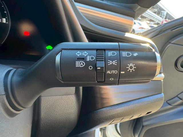 ＥＳ ３００ｈ　Ｆスポーツ　／サンルーフ／ＢＳＭ／ＨＵＤ／デジタルインナーミラー／衝突軽減／レーダークルーズ／レーンキープ／パワーバックドア／シートヒーター・エアコン／ステアリングヒーター／電動格納ミラー／ＥＴＣ／バックカメラ（44枚目）