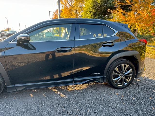 ＵＸ ２５０ｈ　Ｆスポーツ　／衝突軽減／レーダークルーズ／レーンキープ／コーナーセンサー／シートヒーター／ステアリングヒーター／電動格納ミラー／パワーバックドア／パワーシート／シートメモリ／プッシュスタート／ＥＴＣ／バックカメラ（8枚目）