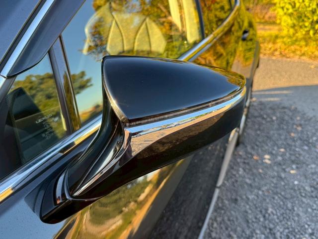 ＵＸ ２５０ｈ　Ｆスポーツ　／衝突軽減／レーダークルーズ／レーンキープ／コーナーセンサー／シートヒーター／ステアリングヒーター／電動格納ミラー／パワーバックドア／パワーシート／シートメモリ／プッシュスタート／ＥＴＣ／バックカメラ（9枚目）