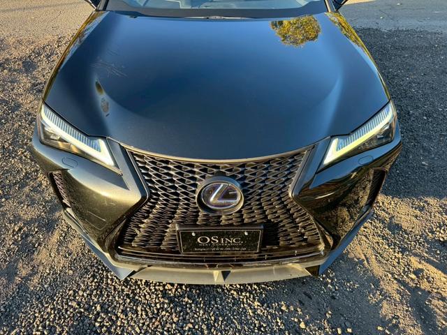 ＵＸ ２５０ｈ　Ｆスポーツ　／衝突軽減／レーダークルーズ／レーンキープ／コーナーセンサー／シートヒーター／ステアリングヒーター／電動格納ミラー／パワーバックドア／パワーシート／シートメモリ／プッシュスタート／ＥＴＣ／バックカメラ（18枚目）