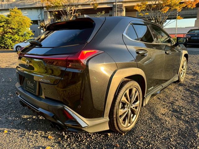 ＵＸ ２５０ｈ　Ｆスポーツ　／衝突軽減／レーダークルーズ／レーンキープ／コーナーセンサー／シートヒーター／ステアリングヒーター／電動格納ミラー／パワーバックドア／パワーシート／シートメモリ／プッシュスタート／ＥＴＣ／バックカメラ（20枚目）