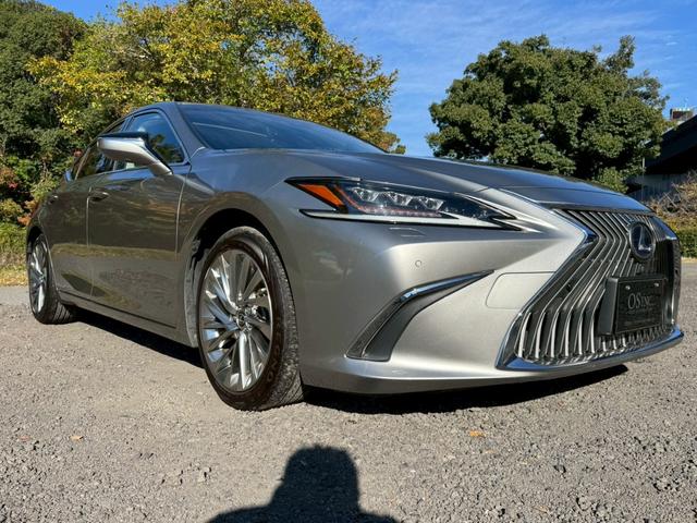 ＥＳ ３００ｈ　ＶｅｒＬ　／サンルーフ／ＢＳＭ／ＨＵＤ／全周囲カメラ／衝突軽減／レーダークルーズ／レーンキープ／コーナーセンサー／シートヒーター・エアコン／パワーバックドア／パワーシート／シートメモリ／電動格納ミラー／ＥＴＣ（18枚目）