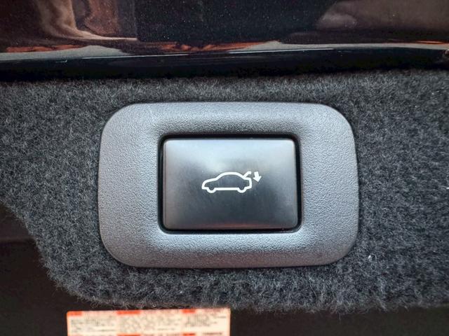 ＬＳ ５００ｈ　ＶｅｒＬ　衝突軽減／全周囲カメラ／レーダークルーズコントロール／コーナーセンサー／ＨＵＤ／ＢＳＭ／ハンドルヒーター／シートヒーター・エアコン／パワーシート／シートメモリ／ＥＴＣ／Ｂｌｕｅｔｏｏｔｈ／バックカメラ（67枚目）