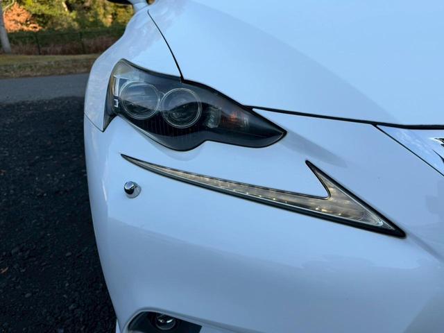 �����k�d�w�t�r���X�@�n�r�h�m�b�D����