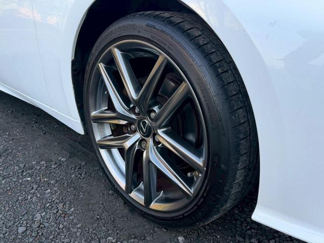 �����k�d�w�t�r���X�@�n�r�h�m�b�D����