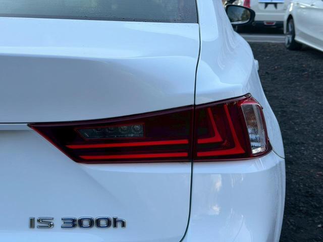 �����k�d�w�t�r���X�@�n�r�h�m�b�D����