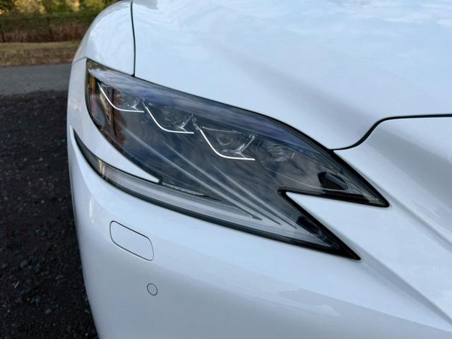 �����k�d�w�t�r���X�@�n�r�h�m�b�D����