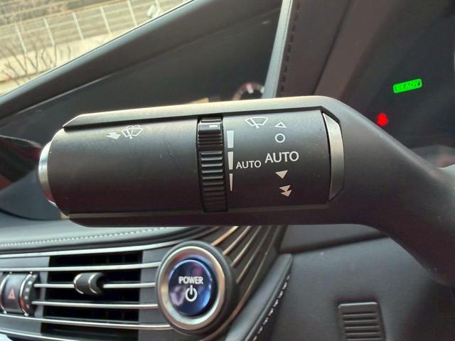 �����k�d�w�t�r���X�@�n�r�h�m�b�D����