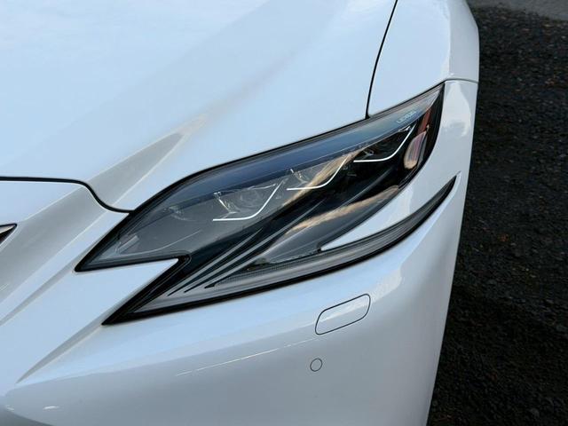 ���I�v�V�������j���[�������ɂ����p������A�����肾���̓��ʂȃL�����y�[���I���񂱂̋@��ɂ����p���������܂����ڂ����̓X�^�b�t�܂ł��₢���킹���������܂��I