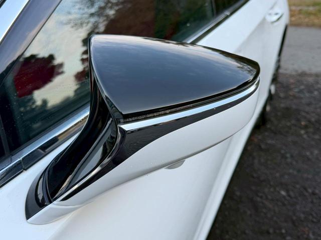 �����k�d�w�t�r���X�@�n�r�h�m�b�D����