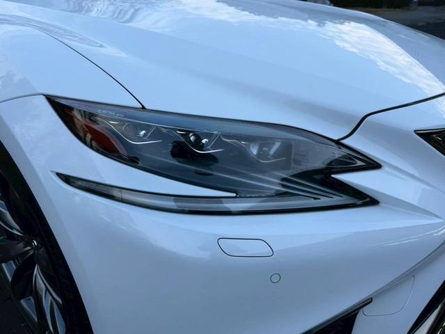 �����k�d�w�t�r���X�@�n�r�h�m�b�D����