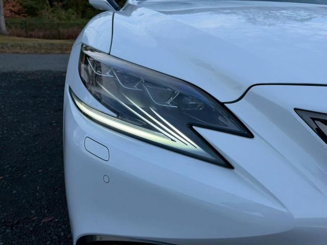 �����k�d�w�t�r���X�@�n�r�h�m�b�D����