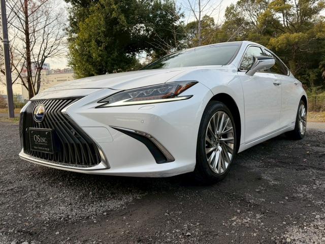 ES 300h VerL マークレビンソン/ワンオーナー/サンルーフ/全周囲カメラ/衝突軽減/レーダークルーズコントロール/コーナーセンサー/HUD/BSM/ハンドルヒーター/シートヒーター・エアコン/パワーシート/ETC(10枚目)