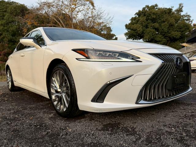 ES 300h VerL マークレビンソン/ワンオーナー/サンルーフ/全周囲カメラ/衝突軽減/レーダークルーズコントロール/コーナーセンサー/HUD/BSM/ハンドルヒーター/シートヒーター・エアコン/パワーシート/ETC(16枚目)