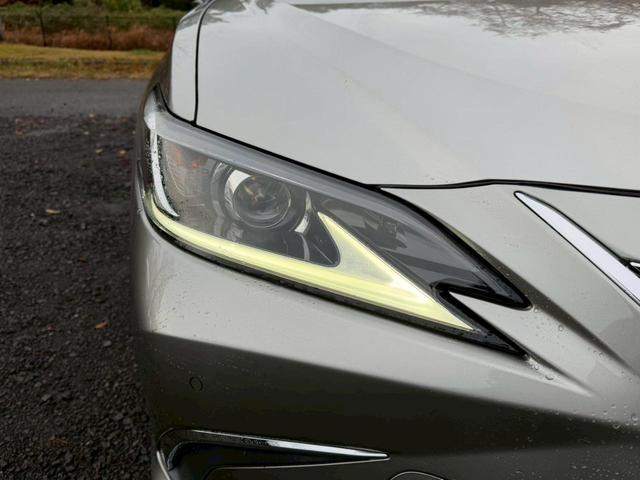 �����k�d�w�t�r���X�@�n�r�h�m�b�D����